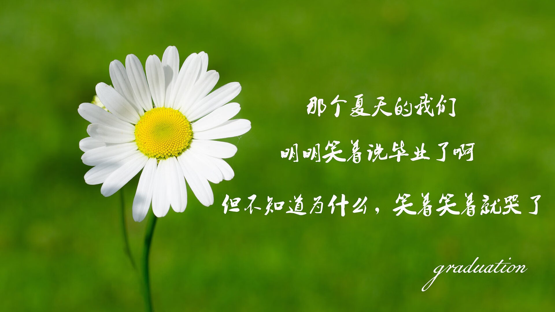 爱游戏中国官方网站平台-NBA球员的生活方式揭秘：运动之外的精彩人生，nba球员的生活作息