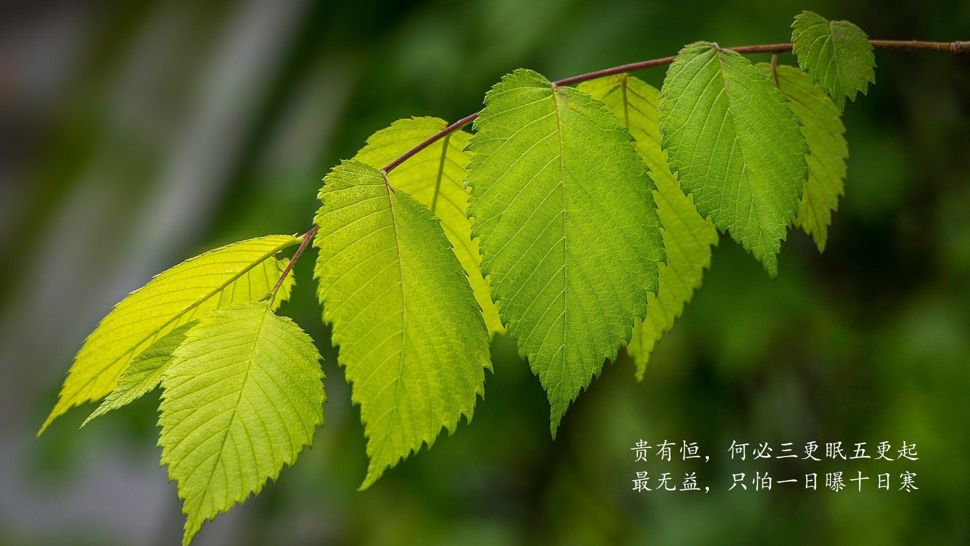 爱游戏体育平台-《Blitz：从选手到教练，电竞生涯全面转型》，电竞选手life
