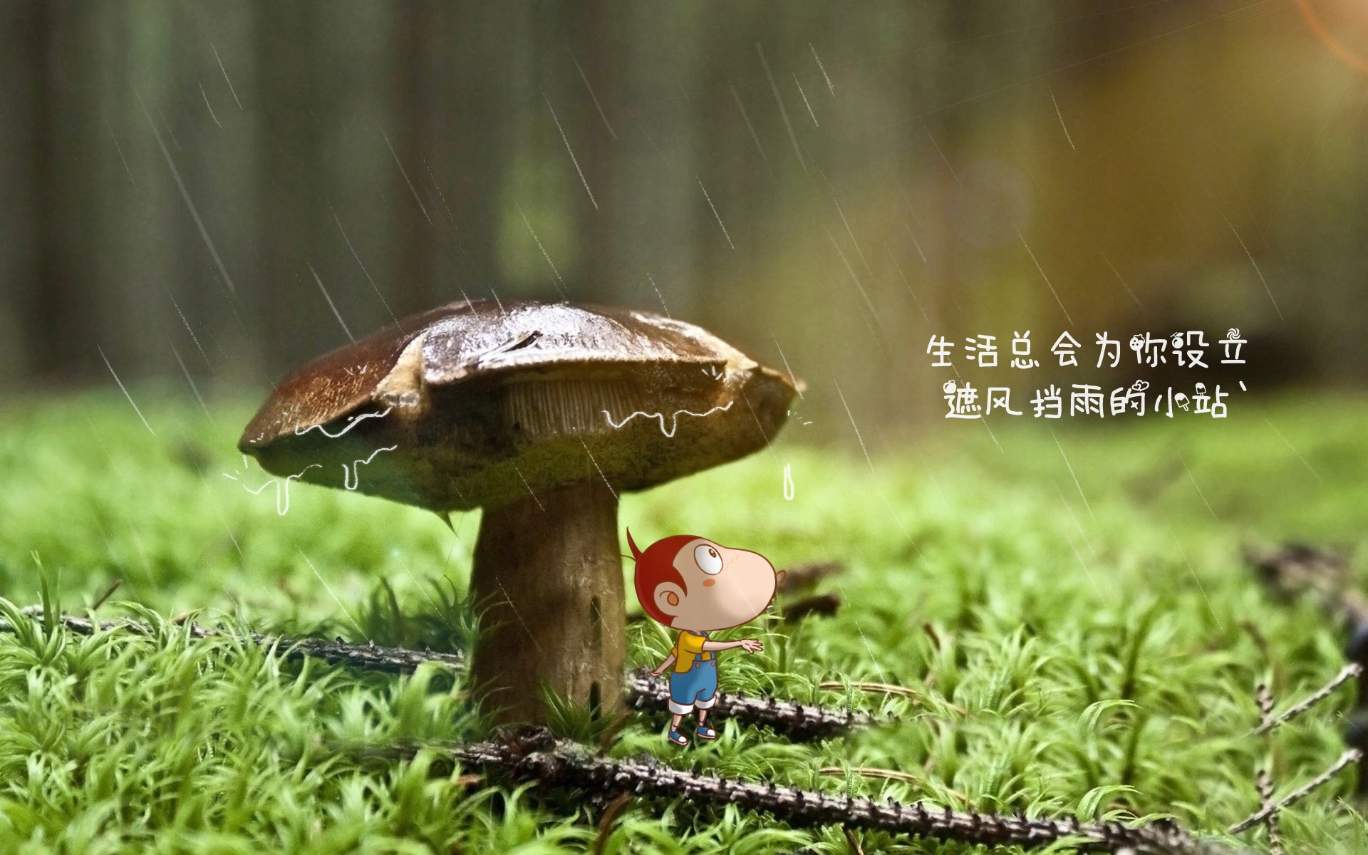 欧冠“奇迹夜”：那些令人惊叹的逆转瞬间，欧冠决赛逆转奇迹
