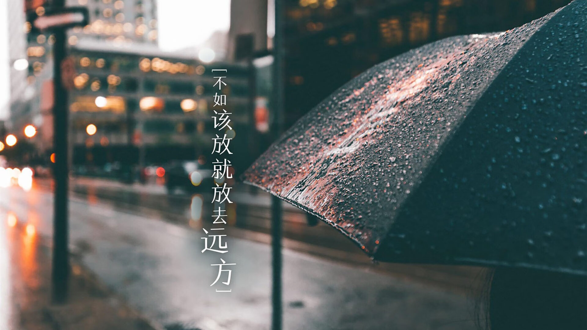 爱游戏app下载-西班牙大学与国际马术组织合作，成立马术科研中心，推动马术科技进步。