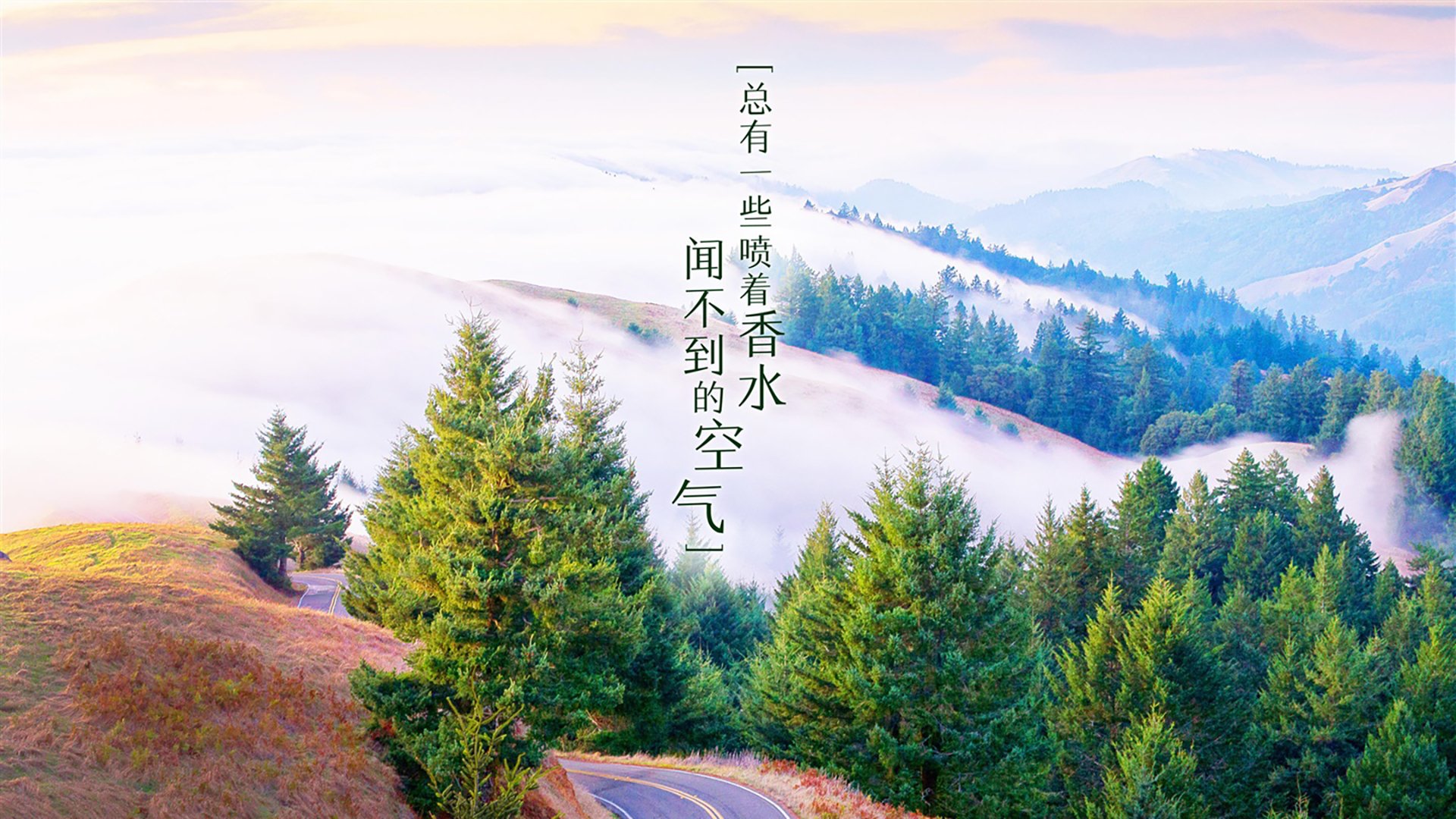 俱乐部品牌塑造：从传统到现代的转型之路，俱乐部产品特点