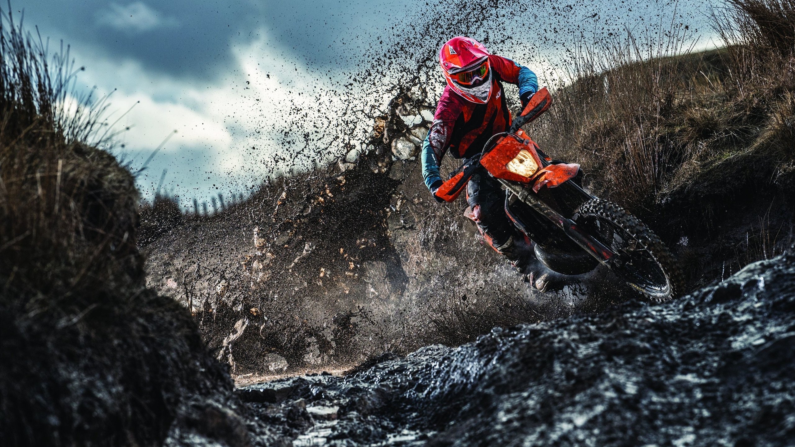 粉丝的狂欢：最难忘的现场回忆，粉丝的狂热